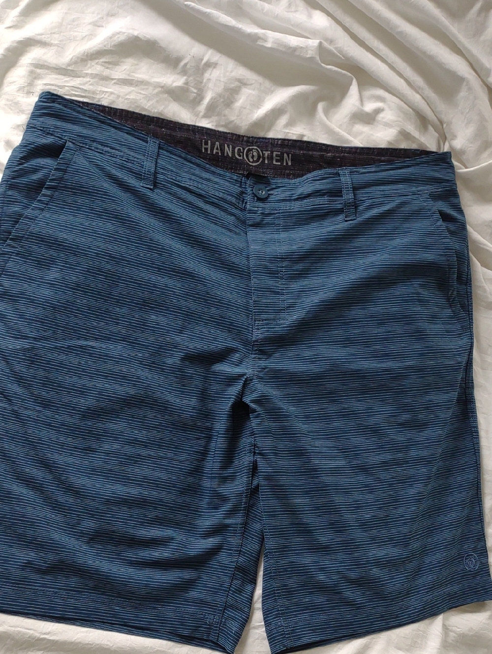 Hang Ten Blue Striped Shorts